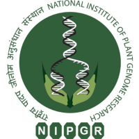 NIPGR Certificate